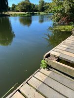 Photo 3 of Godmanchester Lock Portage Point