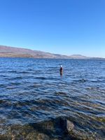 Photo 2 of Culag Beach, Loch Lomond