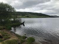Photo 5 of Loch Freuchie