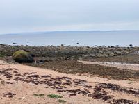 Photo 5 of Dhunan Beach in BrodickBay