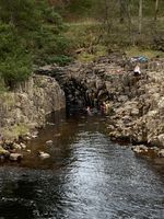Photo 5 of Low Force