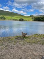 Photo 4 of swineshaw reservoir