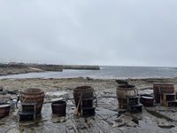Wild Atlantic Seaweed Baths