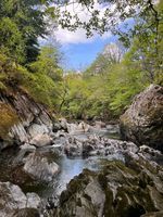 Photo 2 of Fairy Glen, Betws-Y-Coed