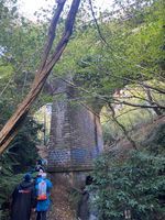Photo 2 of Old Roar Gill &  Coronation Wood
