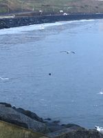 Photo 2 of Scarborough North Bay