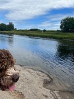 Photo 3 of Drumoak Park Bridge