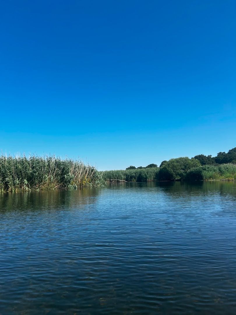 Photo of River Test - Test Lane