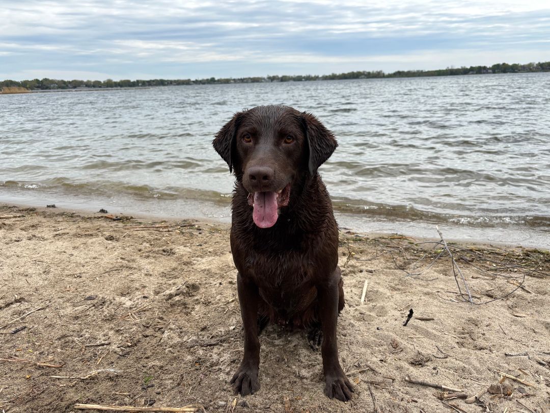 Photo of Dodge #4 State Park