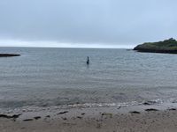 Photo 4 of Wee Ganavan