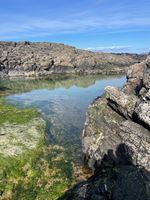 Photo 3 of Dunseverick Rock Pool