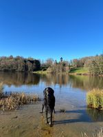 Photo 3 of Sainte-Helene