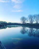 Photo 5 of Antons Gowt