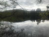 Photo 5 of Loch Coille-Bharr