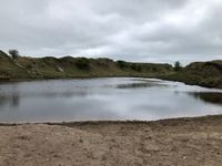 Photo 2 of The Pony Pool, Minions