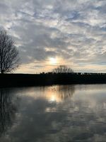 Photo 3 of Antons Gowt