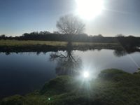 Photo 2 of Dragonfly Lane