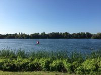 Photo 5 of Shepperton Open Water Swims