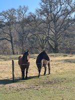 Photo 4 of River Lochey