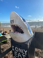 Photo 3 of St Leonards