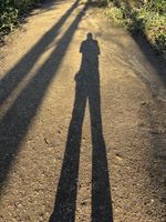 Photo 3 of Beckenham palace park