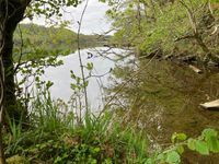 Photo 3 of Loch Coille-Bharr