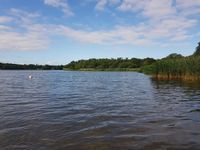 Photo 5 of Frensham Great Pond