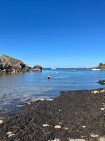 Photo 4 of Churston Cove