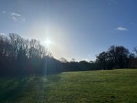 Photo 5 of Beckenham palace park