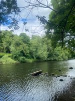 Photo 5 of Wharfebank Mills, Otley