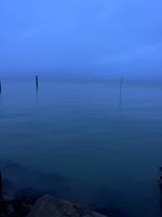 Photo 3 of Love Shore