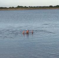 Photo 5 of Balgray Reservoir