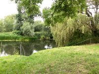 Cleeve Prior, River Avon