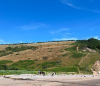 Photo 5 of Mans Sands