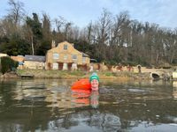 Photo 2 of The Ladder