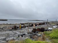 Photo 3 of Wild Atlantic Seaweed Baths