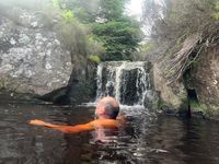 Photo 2 of Kielder Forest Drive