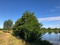 Photo 2 of Jubilee River - Marsh Lane
