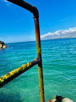 Photo 4 of Newquay Harbour