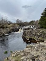 Photo 4 of Low Force