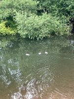 River Lugg Hampton Bishop