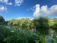 Photo 2 of Titchmarsh Nature Reserve