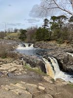 Photo 3 of Low Force