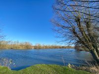 Photo 3 of TVP Oracle Beach