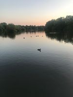 Photo 3 of Terry's Pool