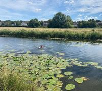 River Stour at Sudbury
