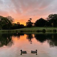 Photo 3 of Beckenham Place Park lake