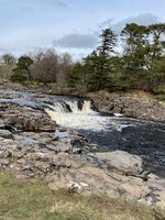 Photo 2 of Low Force