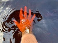 Photo 5 of Gortin Glen Lakes