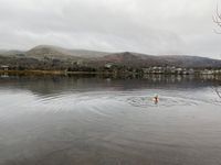 Photo 3 of Llyn Padarn